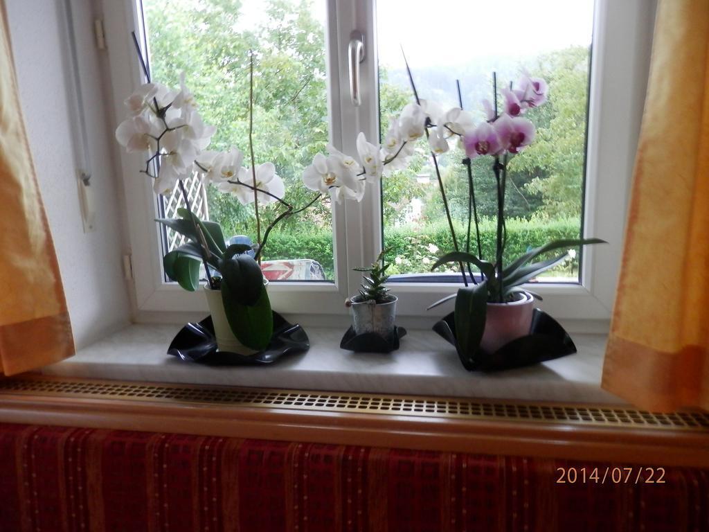 Ferienwohnung Wurm Anger  ภายนอก รูปภาพ